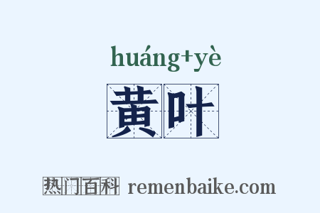 黄叶是什么意思的图片